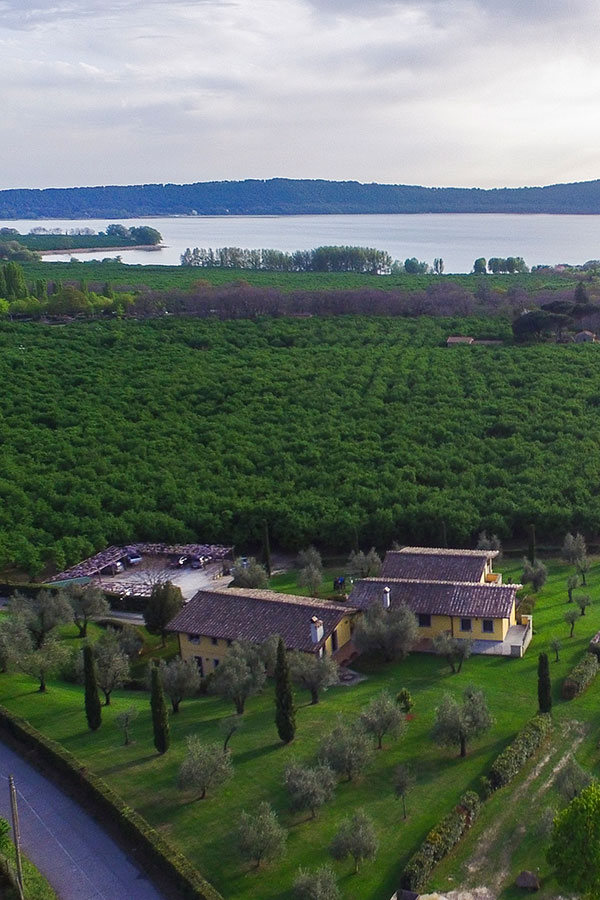 La Valle di Vico - Agriturismo